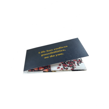 Custom printing booklet/pamphlet/manual folded leaflet luxury pocket brochure with gold foil writing